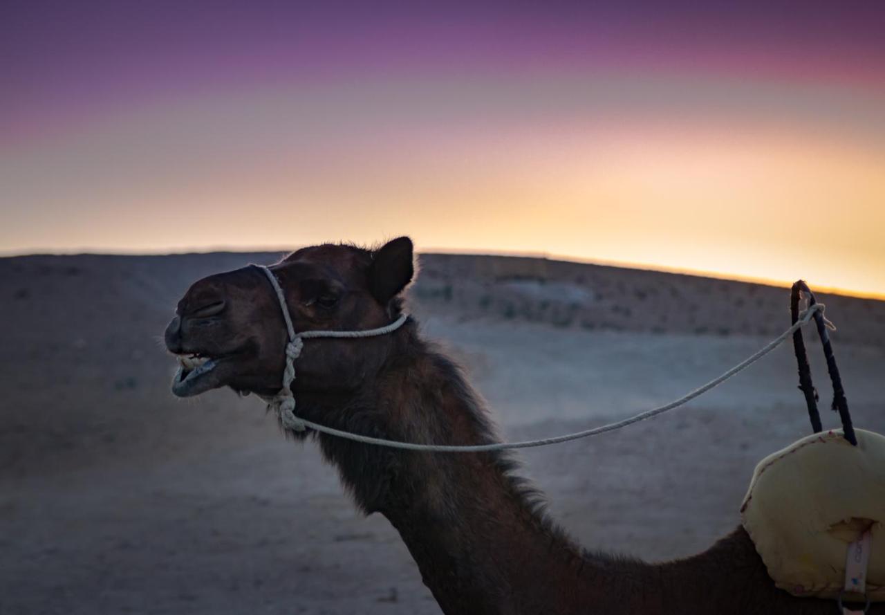 Camp Cameleon Hotel Marrakesh Ngoại thất bức ảnh