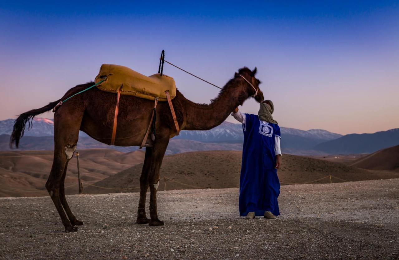 Camp Cameleon Hotel Marrakesh Ngoại thất bức ảnh
